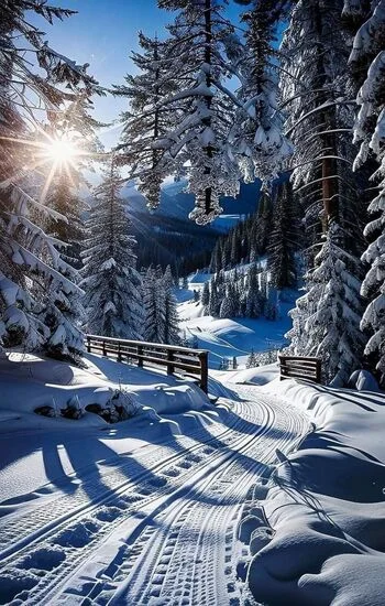 링크모음 여기여 4